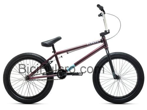 DK Cygnus scheda tecnica e recensioni